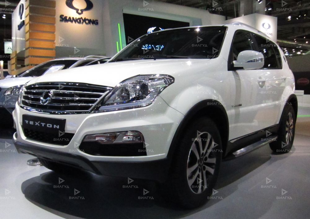 Диагностика двигателя Ssangyong Rexton